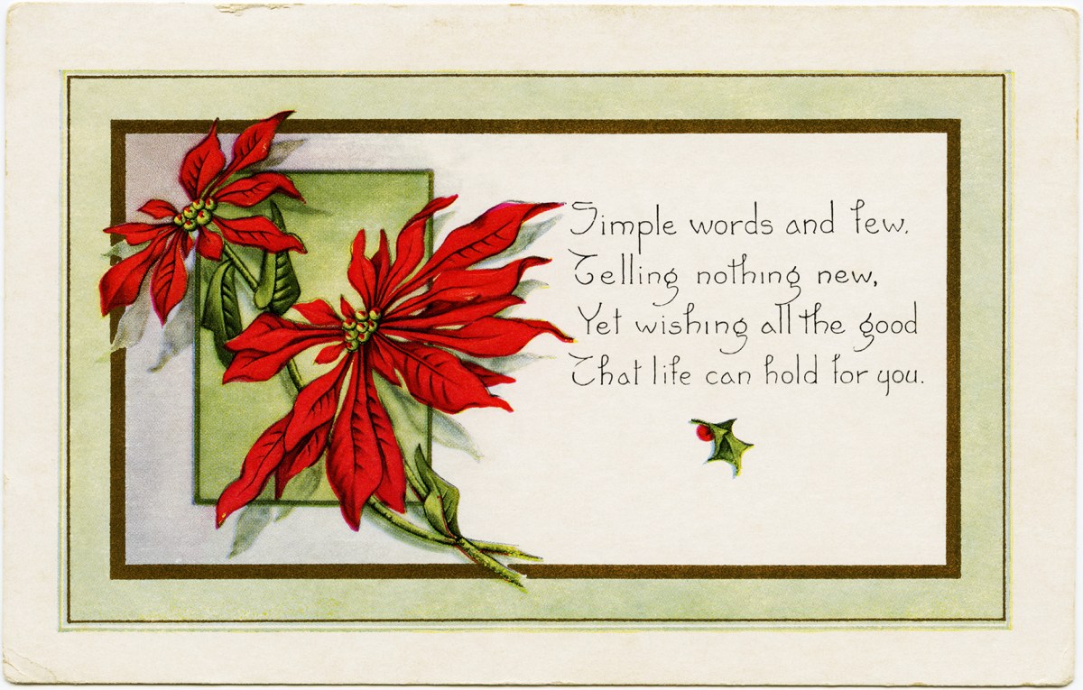 Vintage poinsettia postcard