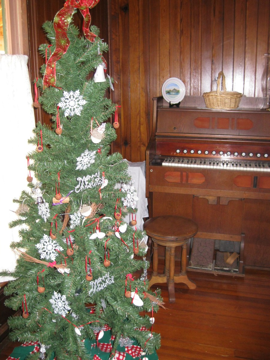 HSOSC 2011 Decorated Tree