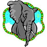 What do elephants have to do with HSOSC? Read on!