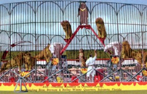 Circus training, Sarasota