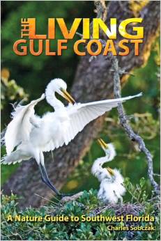 The Living Gulf Coast author leads a discussion at the Historical Society of Sarasota County January 21 2015