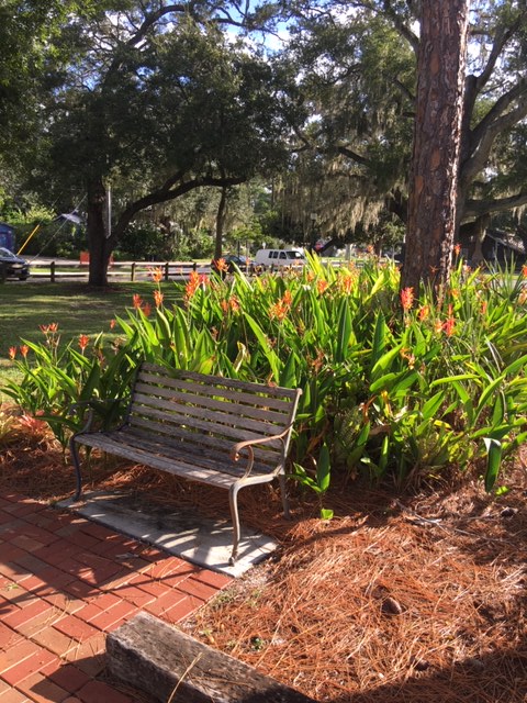 The Historical Society of Sarasota County had a Clean-Up Day