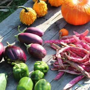 Jessica's Organic Farmstand