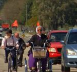 Pinecraft: How It Came to&nbsp;Be