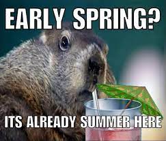 Honey, not tonight. A History of Groundhog&nbsp;Day