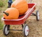 Pumpkin Spice? Nothing new about&nbsp;that.